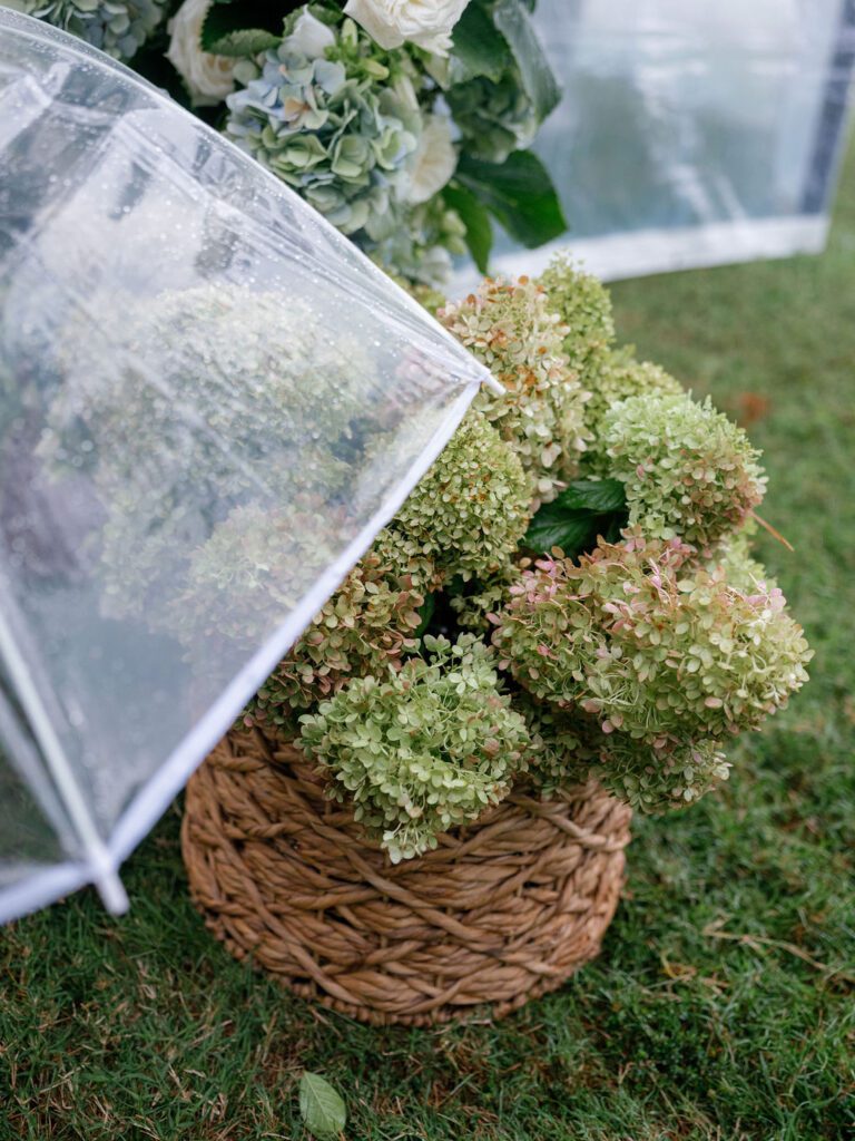 Eastern Shore, Maryland Wedding Rain Plan, Clear Umbrellas to Help Guests Navigate the Weather
